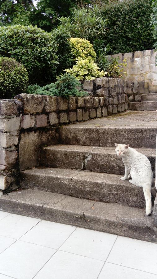 Hotel Chez Benat アングレット エクステリア 写真